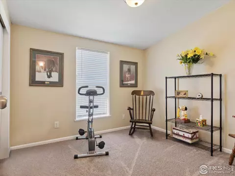 6144 Needlegrass Grn, Frederick, CO 80530 photo 20