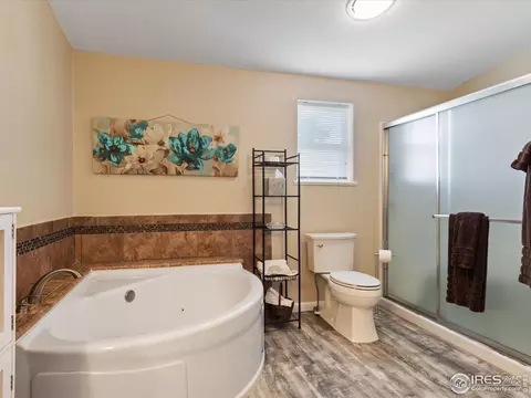 6144 Needlegrass Grn, Frederick, CO 80530 photo 16