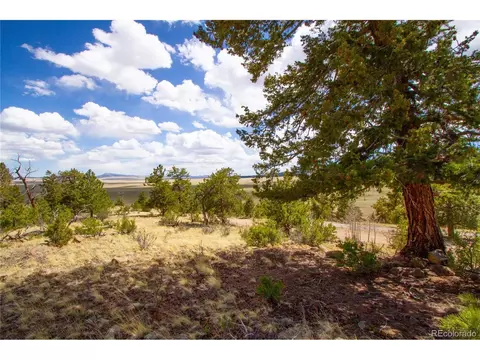 283 Ladigo Ln, Hartsel, CO 80449