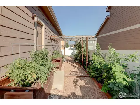 1055 Mt Oxford Ave, Severance, CO 80550 photo 20