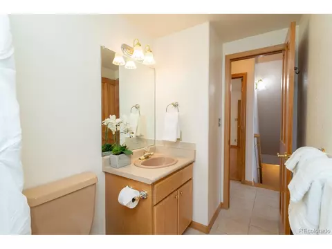 1777 Highpoint Cir, Black Hawk, CO 80422 photo 28
