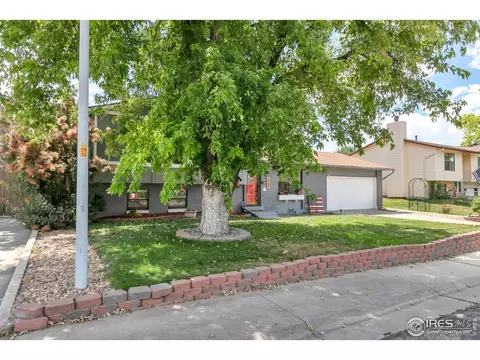 1704 E 97th Dr, Thornton, CO 80229 photo 3