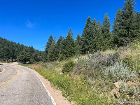 2200 Magnolia Dr, Nederland, CO 80466