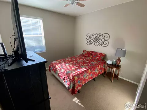 502 Buckrake St, Severance, CO 80550 photo 17