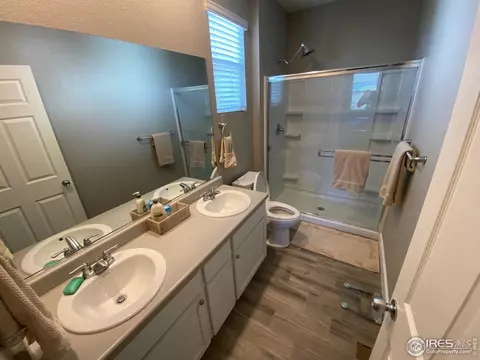 502 Buckrake St, Severance, CO 80550 photo 16