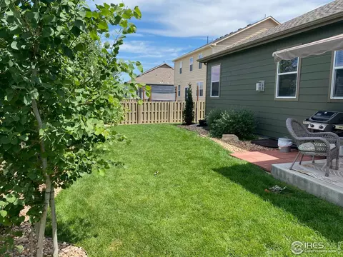 502 Buckrake St, Severance, CO 80550 photo 22
