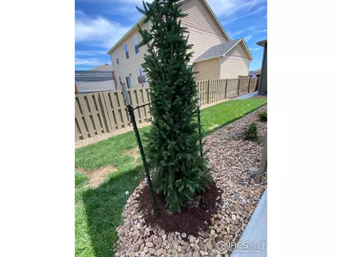 502 Buckrake St, Severance, CO 80550 photo 24