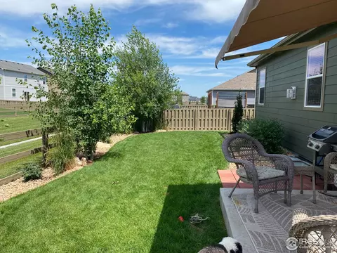 502 Buckrake St, Severance, CO 80550 photo 23