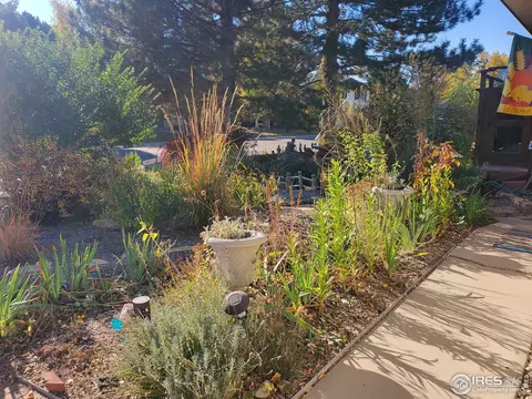 2021 40th Ave, Greeley, CO 80634 photo 29
