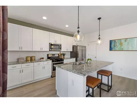 1810 Tree Grove Dr, Windsor, CO 80550 photo 21