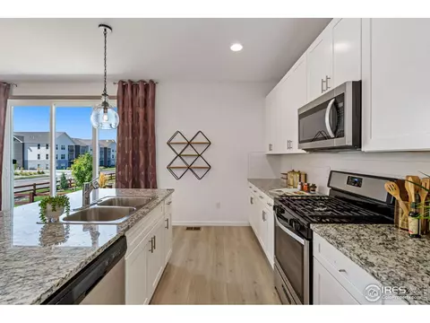 1810 Tree Grove Dr, Windsor, CO 80550 photo 22