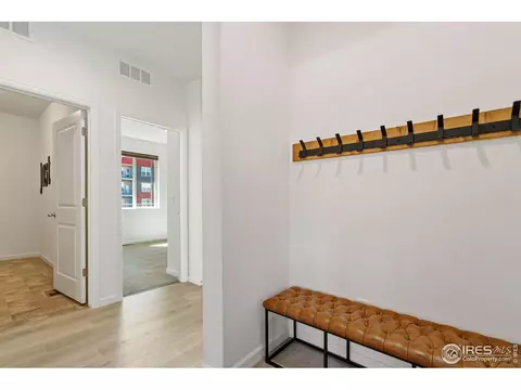 1810 Tree Grove Dr, Windsor, CO 80550 photo 9