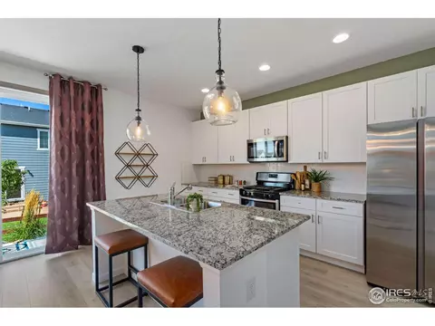 1810 Tree Grove Dr, Windsor, CO 80550 photo 20