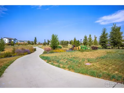 1810 Tree Grove Dr, Windsor, CO 80550 photo 28