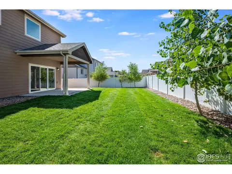 937 Mt Shavano Ave, Severance, CO 80550 photo 30
