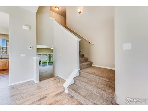 937 Mt Shavano Ave, Severance, CO 80550 photo 11