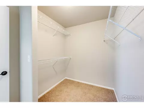 937 Mt Shavano Ave, Severance, CO 80550 photo 17