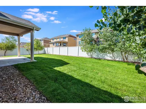 937 Mt Shavano Ave, Severance, CO 80550 photo 29