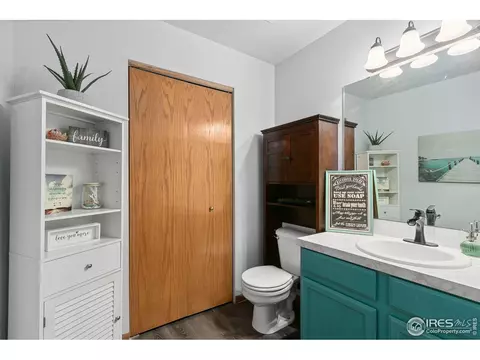 149 Crabapple Dr, Windsor, CO 80550 photo 8