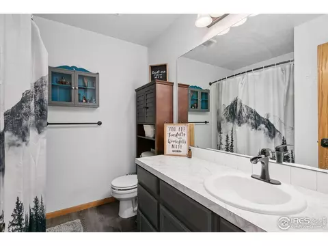 149 Crabapple Dr, Windsor, CO 80550 photo 17