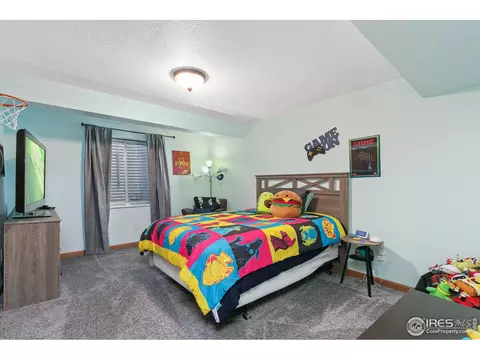 149 Crabapple Dr, Windsor, CO 80550 photo 19