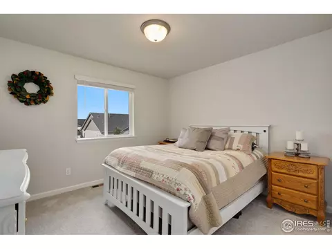 224 Veronica Dr, Windsor, CO 80550 photo 16