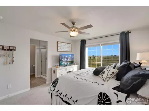 224 Veronica Dr, Windsor, CO 80550 photo 14