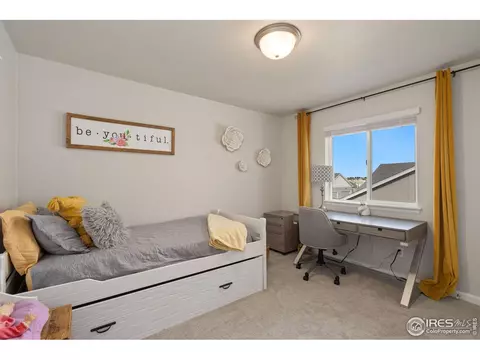 224 Veronica Dr, Windsor, CO 80550 photo 18