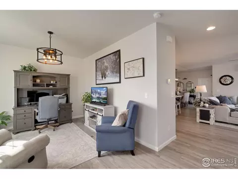 224 Veronica Dr, Windsor, CO 80550 photo 11
