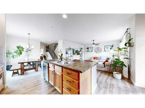 247 Castle Dr, Severance, CO 80550 photo 13