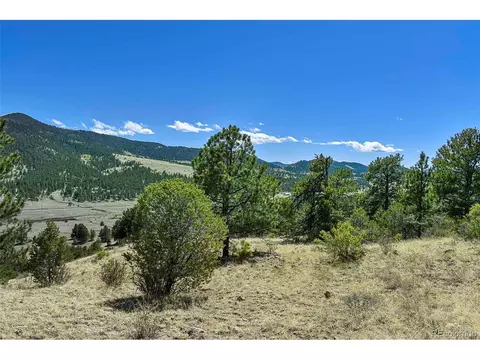87 Wagon Wheel Cir, Guffey, CO 80820