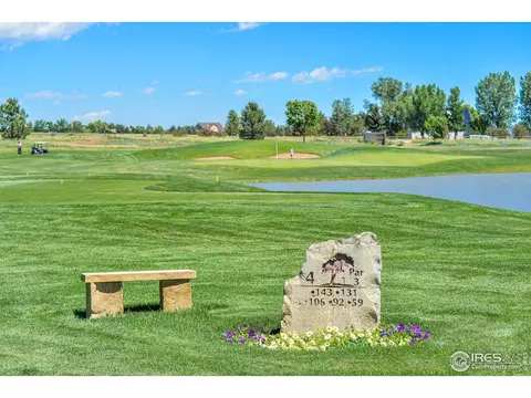 7044 Crystal Downs Dr, Windsor, CO 80550 photo 35