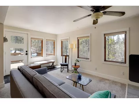 113 Wallens Pl, Black Hawk, CO 80422 photo 8
