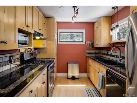 113 Wallens Pl, Black Hawk, CO 80422 photo 12
