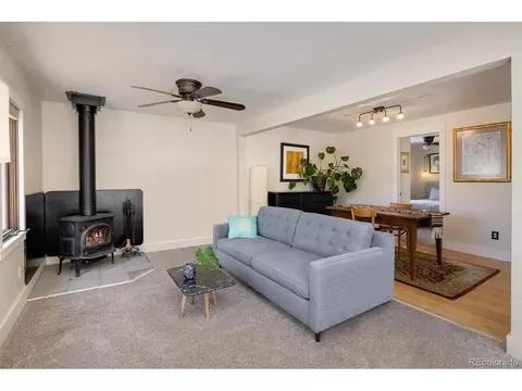 113 Wallens Pl, Black Hawk, CO 80422 photo 7