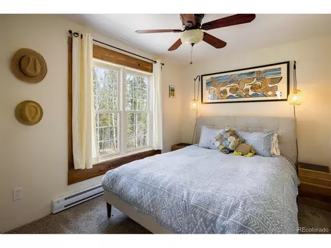 113 Wallens Pl, Black Hawk, CO 80422 photo 15