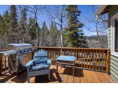 113 Wallens Pl, Black Hawk, CO 80422 photo 5