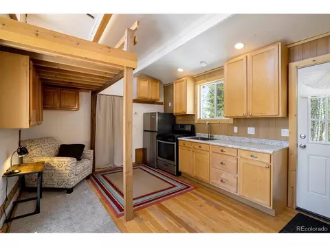 113 Wallens Pl, Black Hawk, CO 80422 photo 23