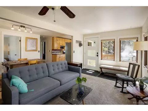 113 Wallens Pl, Black Hawk, CO 80422 photo 9