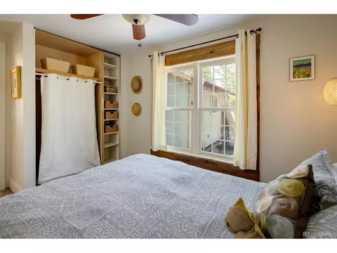 113 Wallens Pl, Black Hawk, CO 80422 photo 16
