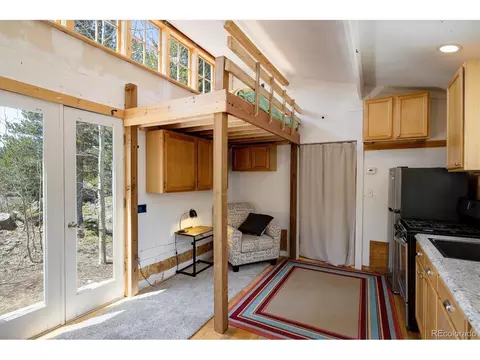 113 Wallens Pl, Black Hawk, CO 80422 photo 22