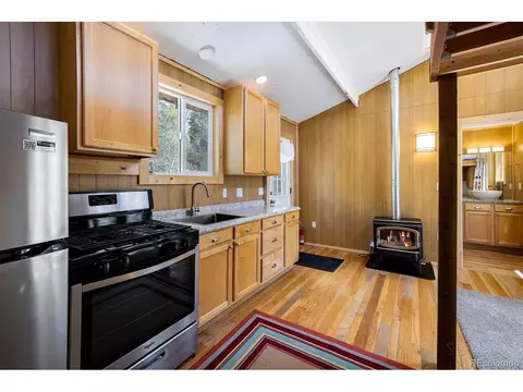 113 Wallens Pl, Black Hawk, CO 80422 photo 24