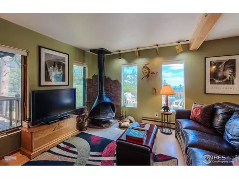 385 Millionaire Dr, Boulder, CO 80302 photo 13