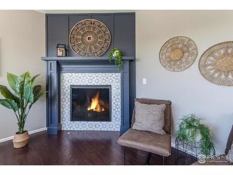 2253 Stonefish Dr, Windsor, CO 80550 photo 6
