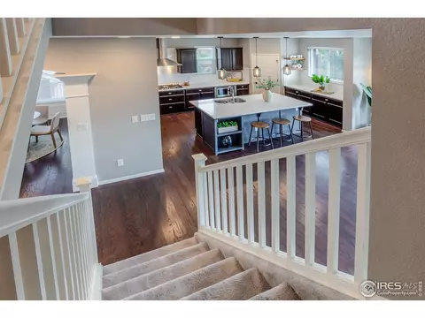 2253 Stonefish Dr, Windsor, CO 80550 photo 20