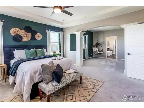 2253 Stonefish Dr, Windsor, CO 80550 photo 21