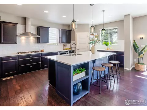 2253 Stonefish Dr, Windsor, CO 80550 photo 9