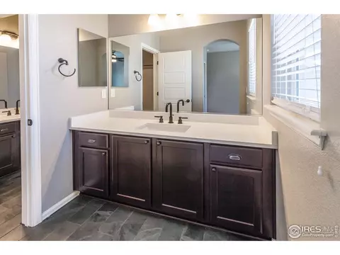 2253 Stonefish Dr, Windsor, CO 80550 photo 29