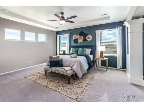 2253 Stonefish Dr, Windsor, CO 80550 photo 22