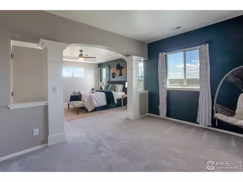 2253 Stonefish Dr, Windsor, CO 80550 photo 23
